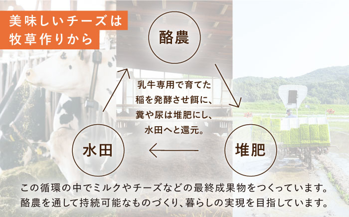 【1月発送】ナカシマファームのおすすめチーズ 6種セット[NAJ004] ナカシマファーム 酪農家 手づくりチーズ 食べくらべ 詰め合わせ