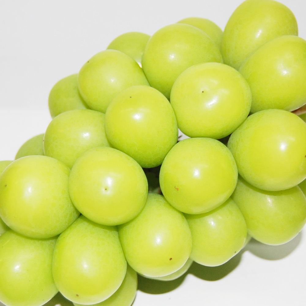 【ふるさと納税】果物 詰合せ 岡山白桃 2玉～4玉（1玉 220g以上）《等級：ロイヤル》シャインマスカット 晴王 1房（380g～580g以上）ニューピオーネ 1房（380g～580g以上） ＜選べる容量＞ 計約1.2kg / 計約2.04kg もも ぶどう 【2026年7月上旬～8月上旬迄順次発送予定】