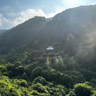 ふるさと納税 岡山市 無添加非加熱の国産天然ハチミツ500g |  | 03