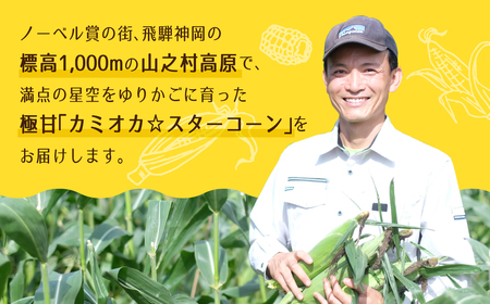 《先行予約》《期間・数量限定》まるでフルーツ！特別栽培トウモロコシ　激甘！極旨のスーパースイート系トウモロコシ「カミオカ☆スターコーン」令和7年産 ４本お届け[Q2979_25] syun90