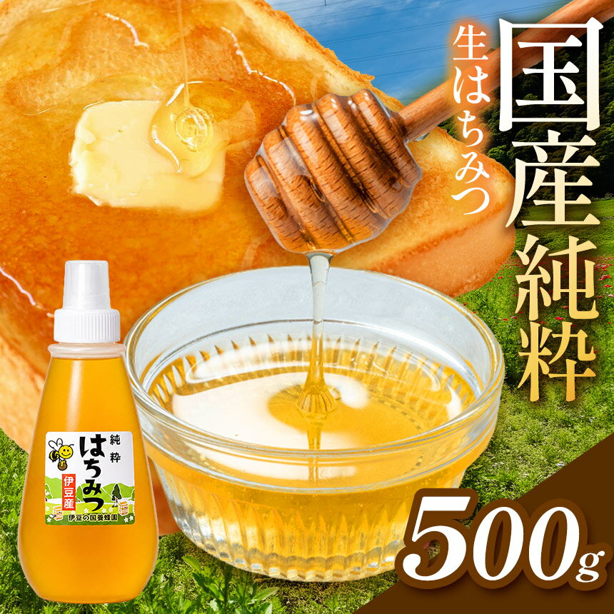 【ふるさと納税】蜂蜜500g(1本) 伊豆の国養蜂園 | はちみつ 生蜂蜜 静岡県 伊豆の国市