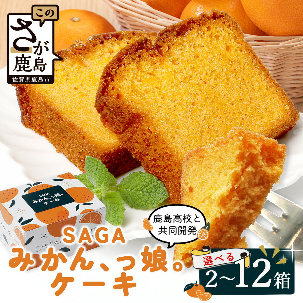 【ふるさと納税】内容量を選べる【鹿島高校 共同開発返礼品】SAGAみかん、っ娘。ケーキ 2箱 ～ 12箱 A-219 スイーツ ケーキ 焼き菓子 焼菓子 みかん ミカン 蜜柑 みかんケーキ ミカンケーキ お土産 ご当地スイーツ プレゼント ギフト おみやげ