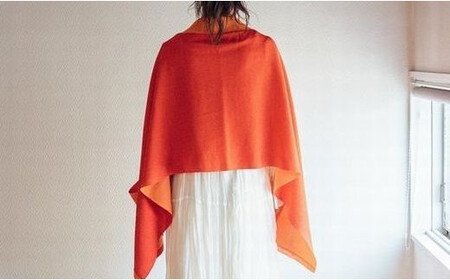 ストール CLEMATIS リバーシブル和紙ストール ( たたきポケット・レッド ) レディース | 大判 ストール リバーシブル 和紙 おしゃれ シンプル マフラー 春夏 春 夏 新潟県 五泉市 株