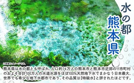 【6ヶ月定期便】熊本のおいしいお水 阿蘇山天然水 500ml×48本（2ケース）