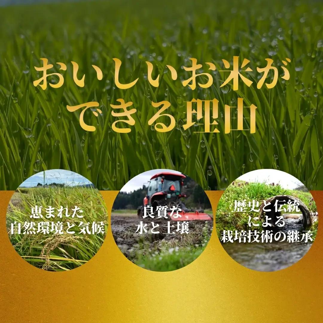 【定期便6回】令和8年産 新米 コシヒカリ 5kg×6回(計30kg) 特別栽培米 色彩選別済み 先行予約 | 新潟県産 米 五泉市