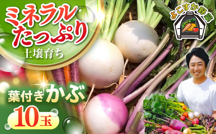 
            【先行予約】【数量限定】葉付き　かぶ 10玉（9月〜6月） 野菜  やさい 【鈴也ファーム】 [AKCE016]
          