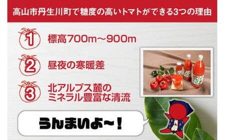 マルオリ トマトジュース 1L×12本入 トマト ジュース 食塩無添加 無塩 無添加 完熟トマト ストレート 100% 果汁 野菜ジュース 高糖度 リコピン ドリンク 1リットル 野菜 飛騨高山  L