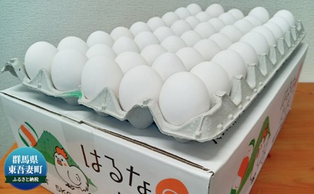 はるなのたまご特選Mサイズはるなのたまご【5kg】【定期便6ヶ月】