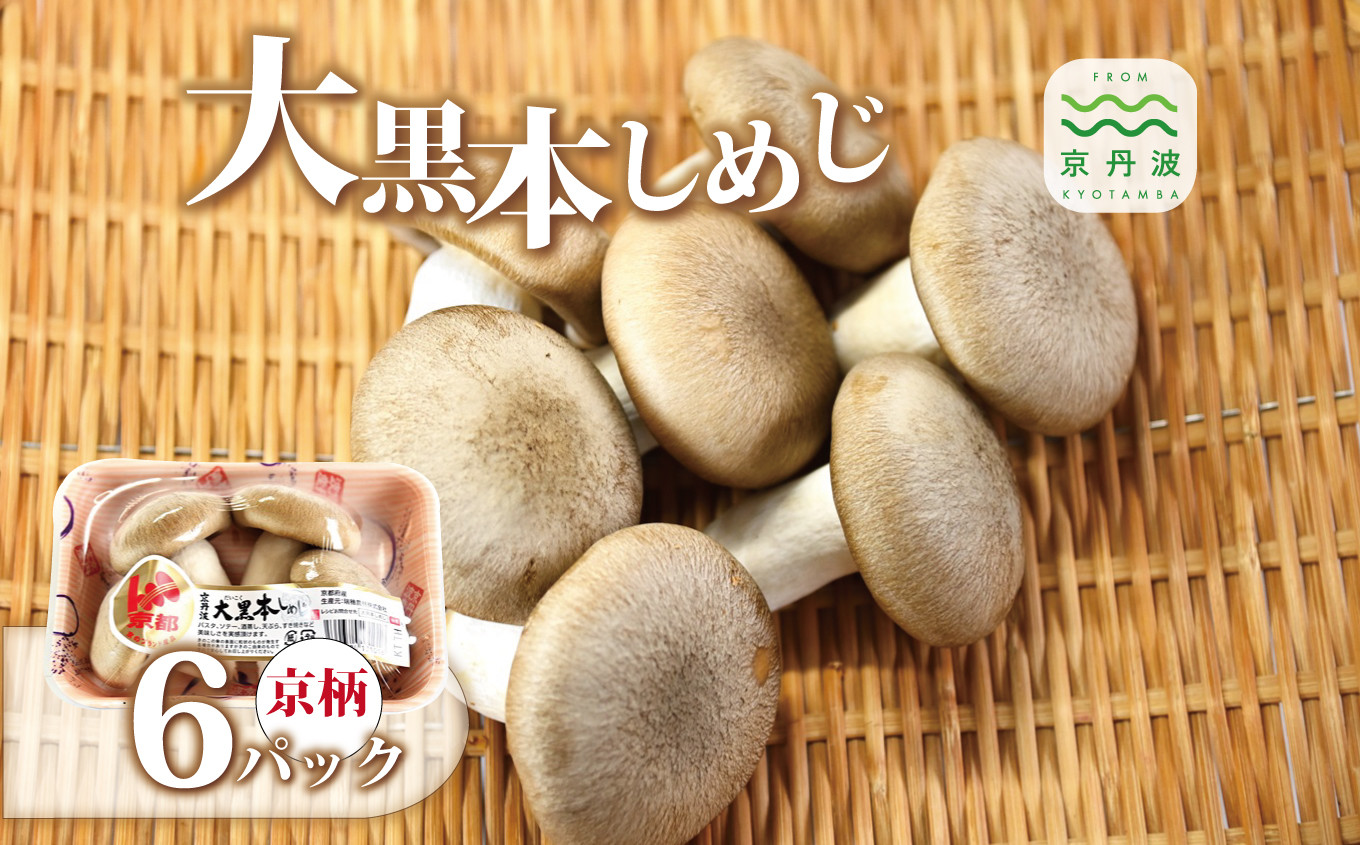 
大黒本しめじ 京柄 6パックセット （ 国産 京都 きのこ キノコ 丹波 しめじ 食感 シャキシャキ 旨味たっぷり 天ぷら 鍋 炒め物 ） ※北海道・沖縄・その他離島への配送不可 [010MK002]
