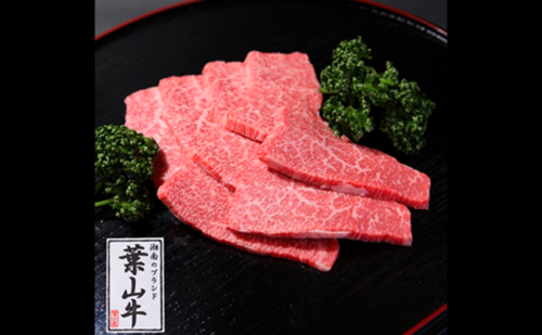 葉山牛 特上赤身 焼肉用 500g 冨士屋牛肉店 葉山牛 和牛 にく 肉焼くだけ 焼き肉用  冷凍 お中元 ギフト 箱入り 贈答用  豪華 おもてなし神奈川県 【 逗子市 】発送可能時期より順次発送予定※最大2ヶ月