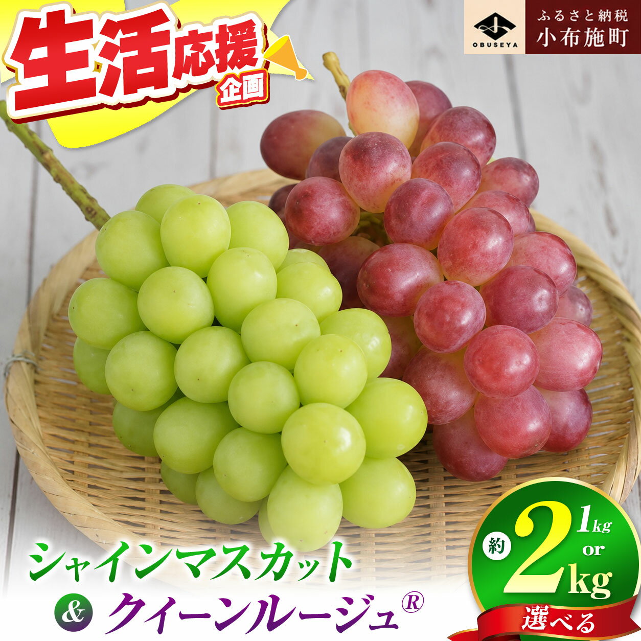 【ふるさと納税】シャインマスカット＆クイーンルージュ® 約1kg 約2kg 選べる内容量 ［小布施屋］ぶどう 食べ比べ フルーツ 果物 くだもの 葡萄 ブドウ クール便 冷蔵 お楽しみ 長野県産 信州産 令和8年産 【2026年9月下旬～11月上旬発送】
