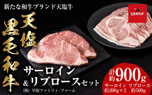 黒毛和牛 天塩和牛 サーロイン & リブロース セット ＜早坂ファーム＞肉 焼肉 牛肉 ステーキ 北海道産 国産