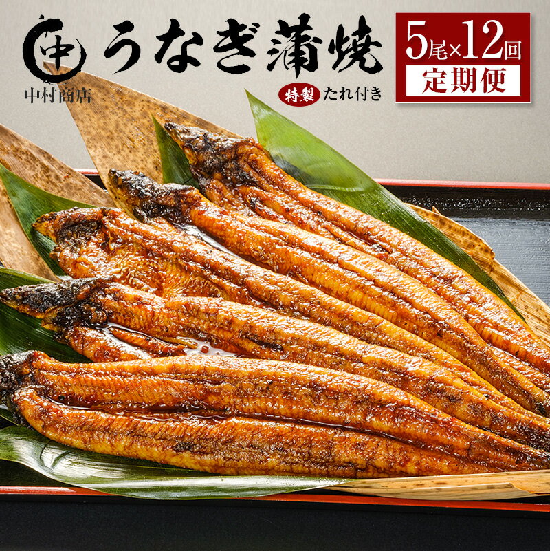 【ふるさと納税】＜定期便＞5尾×全12回 国産 うなぎ 蒲焼 有頭 計10.8kg以上（1回あたり 計905g以上） たれ付き 宮崎県産 鰻 中村商店