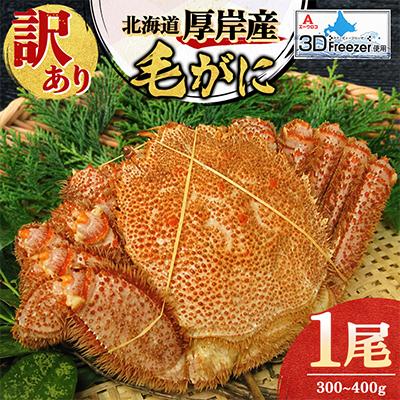 ふるさと納税 厚岸町 【訳あり】3D冷凍毛がに300〜400g×1尾