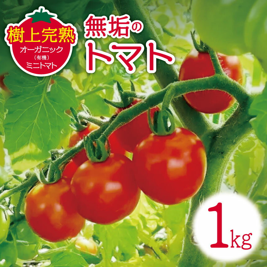 【ふるさと納税】無垢のトマト（樹上完熟オーガニック(有機)ミニトマト）1kg トマト みにとまと オーガニック
