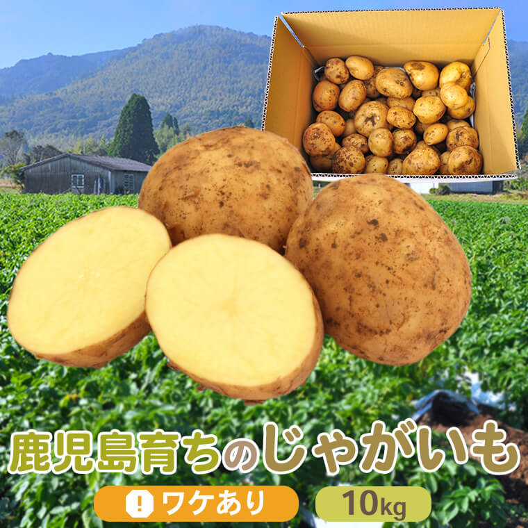 【ふるさと納税】【訳あり】【数量限定】ママたちの想いをギュッ！薩摩で育ったほくほくじゃがいも（ニシユタカ） 10kg ZS-715 ニシユタカ じゃがいも ジャガイモ 新じゃが 訳アリ 鹿児島県 薩摩川内市 送料無料