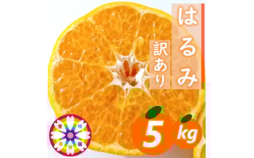 愛咲果樹園「はるみ」訳あり約5kg＜C71-30＞【1619095】