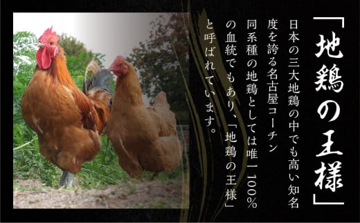 鶏三和 名古屋コーチン 焼鳥 串 砂肝 40g×4本入×6袋 計24本 鶏肉 串焼き 三和の純鶏 地鶏 焼き鳥 さんわ コーチン 地鶏 渥美半島 田原市 国産 17000円