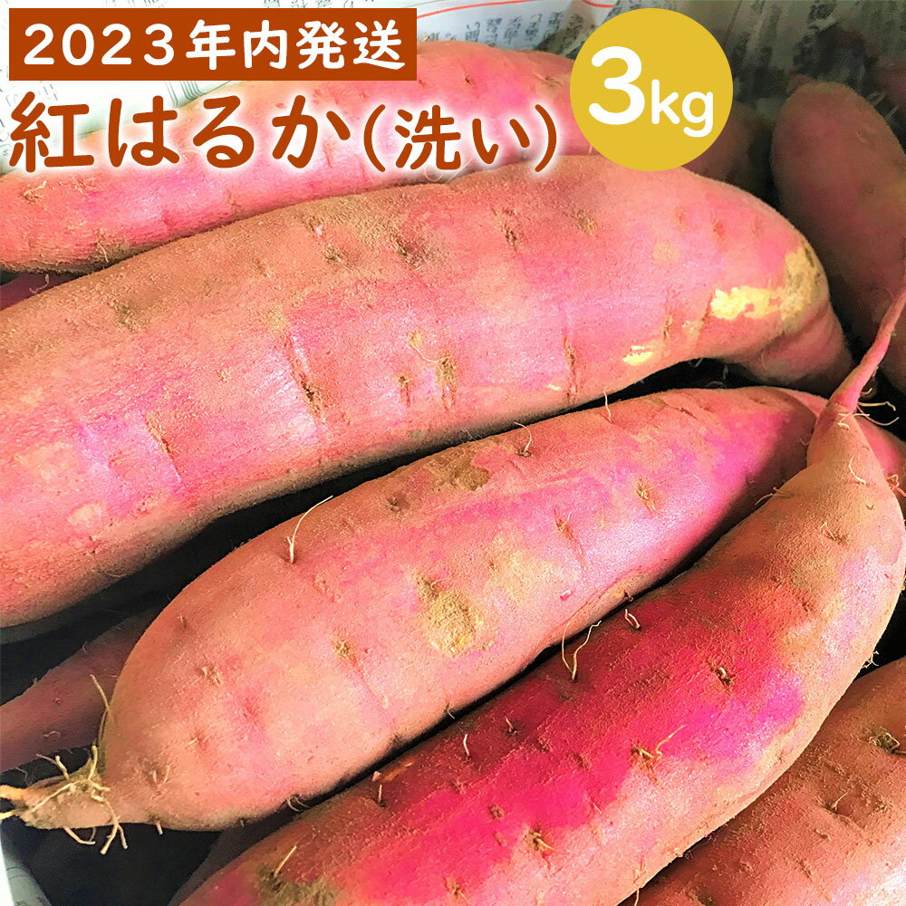 【ふるさと納税】【2025年内発送】【農家直送】ママたちの想いをギュッ！薩摩で育てたさつまいも（紅はるか）洗い 3kg 小 紅はるか 熟成 蜜芋 お試しサイズ 3kg 焼き芋 小さめサイズ さつまいも サツマイモ 薩摩芋 芋 吉永農園 鹿児島県 薩摩川内市 送料無料