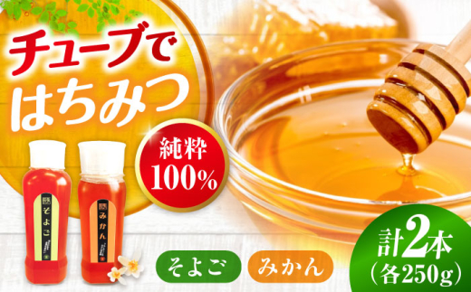 はちみつ 手軽に簡単チューブはちみつ（みかん・そよご）各250g 計2本セット  三次市/重森養蜂場 [APBO012] はちみつ 蜂蜜 ハチミツ ハニー honey 手軽 チューブ チューブタイプ 2種 2本 セット はちみつ 蜂蜜 ハチミツ ボトル 国産 蜜 純粋はちみつ 純粋 お取り寄せ 養蜂場 グルメ 贈答 ギフト 特産品 産地直送 取り寄せ 送料無料 広島 三次
