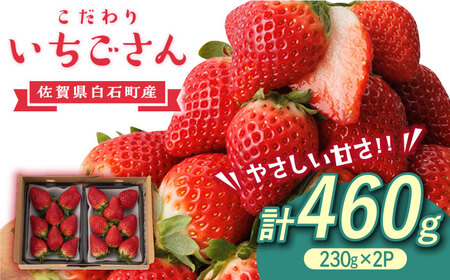 【先行予約】こだわり いちごさん 約230g×2パック（計460g以上）/新規就農 いちご 佐賀県産 イチゴ 苺 土耕栽培いちご  甘いいちご 大容量パックいちご イチゴ 苺 佐賀県産いちご ブランドいちご いちごさん うつくしい色と形のいちご 華やかでやさしい甘さのいちご みずみずしい果汁のいちご いちご イチゴ 苺 人気のいちご 白石町産いちご お徳用 いちご イチゴ 苺 おすすめいちご 自宅用いちご ゴロゴロ生いちご イチゴ 苺 ファミリーパックいちご イチゴ 苺 いちごいっぱい お取り寄せいちご お