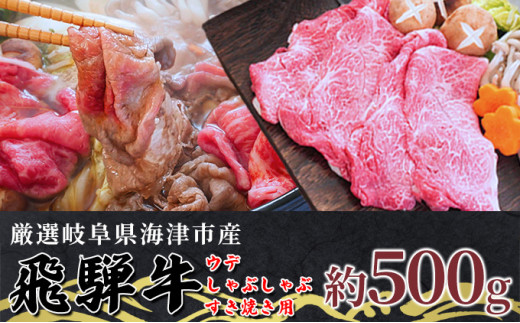 
[№5533-0313]【飛騨牛】海津市産ウデしゃぶしゃぶすき焼き用スライス 【配達不可：離島】
