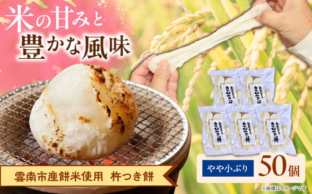 杵つき餅（丸餅）380g×5袋 [AIEG002]