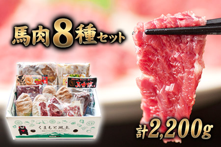 純国産馬肉8種セット 計2200g 《60日以内に出荷予定(土日祝除く)》 熊本肥育 2年連続農林水産大臣賞受賞 送料無料 馬刺し 馬肉 馬スジ ホルモン 燻製 霜降り ハンバーグ 南阿蘇村