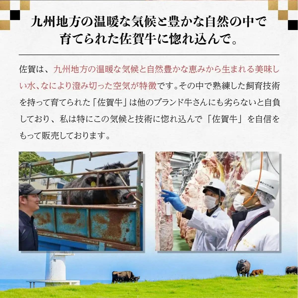 佐賀牛セット 年4回定期便コース(3人前) H-308