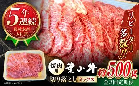 【全3回定期便】葉山牛500g　焼肉用ミックス 牛肉（ロース、モモ、カルビ等 ） 食べ比べ[ASBD028]