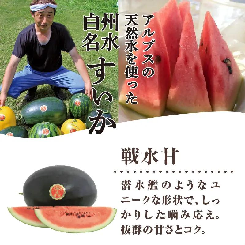 【2026年先行予約】北杜市白州産すいか「すいかばか！」のこだわりの特選すいか 戦水甘シリーズ中から1玉 [h047]