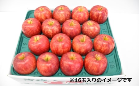 りんご【シナノドルチェ】約5kg（12～20玉）【2025年産・先行予約】★2025年10月上旬～10月下旬頃に発送予定★ 青森県三戸町産