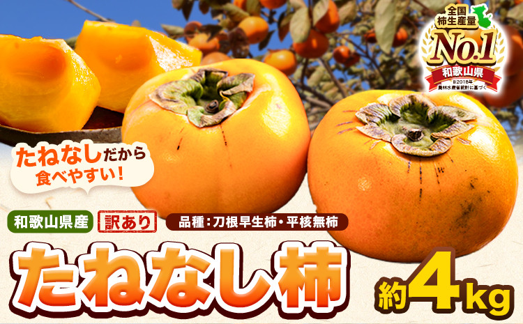 
            和歌山県産 訳あり たねなし柿（刀根早生柿・平核無柿）約4kg 《2025年9月中旬-11月上旬頃出荷(土日祝除く)》 和歌山県 岩出市 訳あり ご家庭用 種なし柿 柿 果物 フルーツ カキ st-p
          