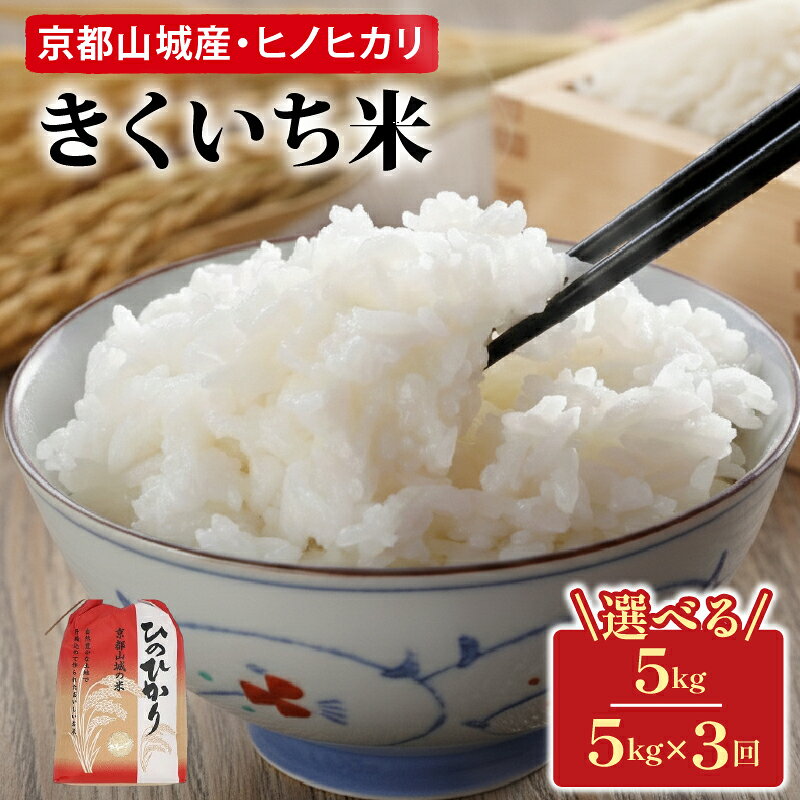【ふるさと納税】 京都山城産きくいち米 ヒノヒカリ 選べる 5kg 3ヶ月 定期便 2025年度産 令和7年 新年度産 精米 白米 お米 米 こめ コメ ご飯 5キロ 京都 井手町【185】