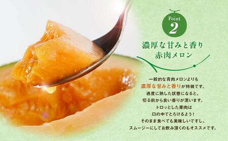 【先行予約】旭川発！北海道の赤肉メロン2玉（1玉標準 1.3kg以上）(2024年6月下旬より発送開始予定)
