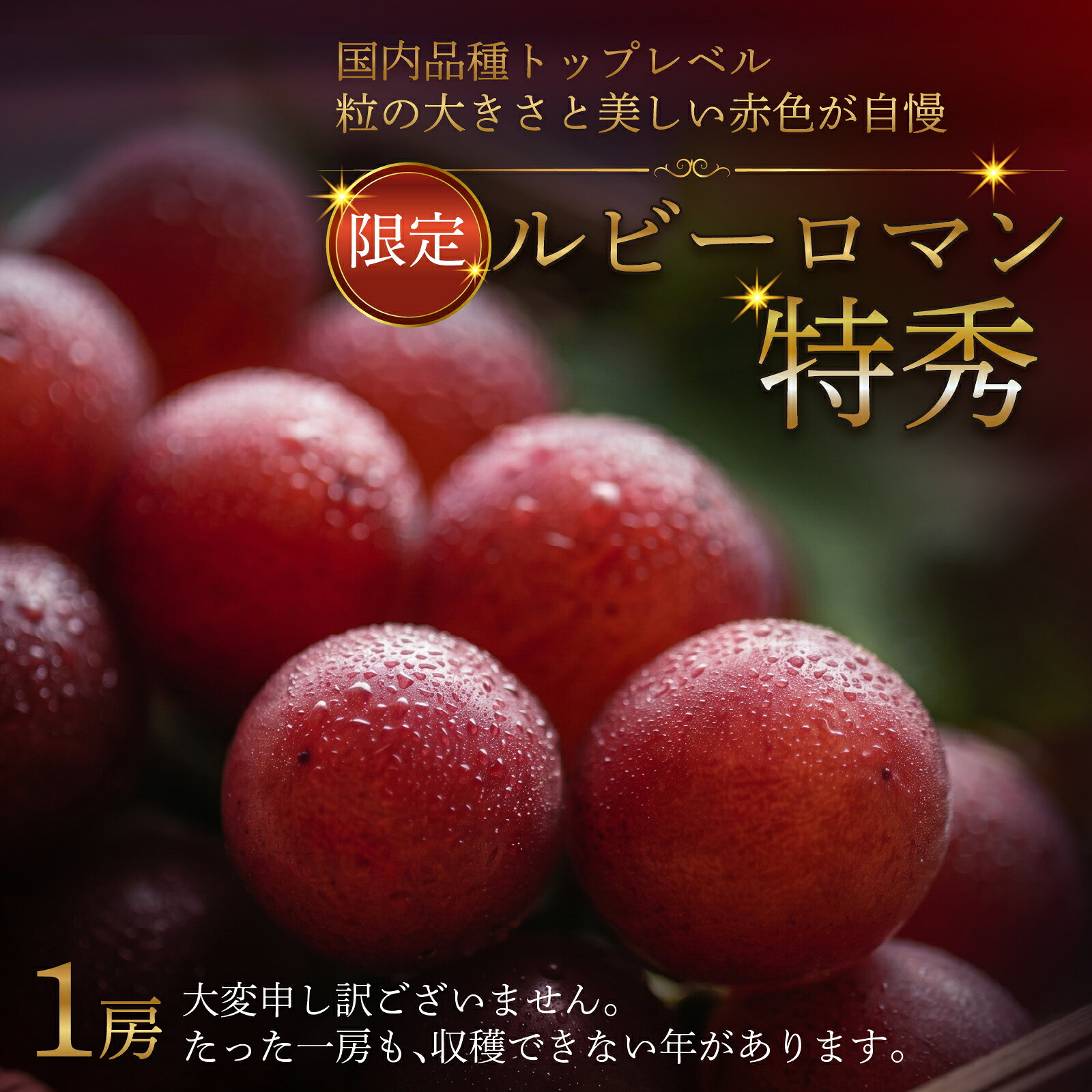 【ふるさと納税】【先行予約 2027年収穫分】ルビーロマン 特秀 1箱 化粧箱入り【2027年8月以降順次発送予定】 贈答にも 石川県最高峰ぶどう｜希少 貴重 数量限定 ぶどう ブドウ 葡萄 種なし ジューシー 甘い 大粒 大きい 宝石 能登 入口