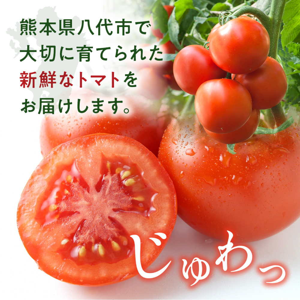 【先行予約】 熊本県八代市産 トマト 約4kg (20玉または24玉) とまと 野菜 やさい サラダ 旬 旬の野菜 新鮮 新鮮な野菜 熊本県 八代市 【2027年1月上旬より順次発送】_イメージ3