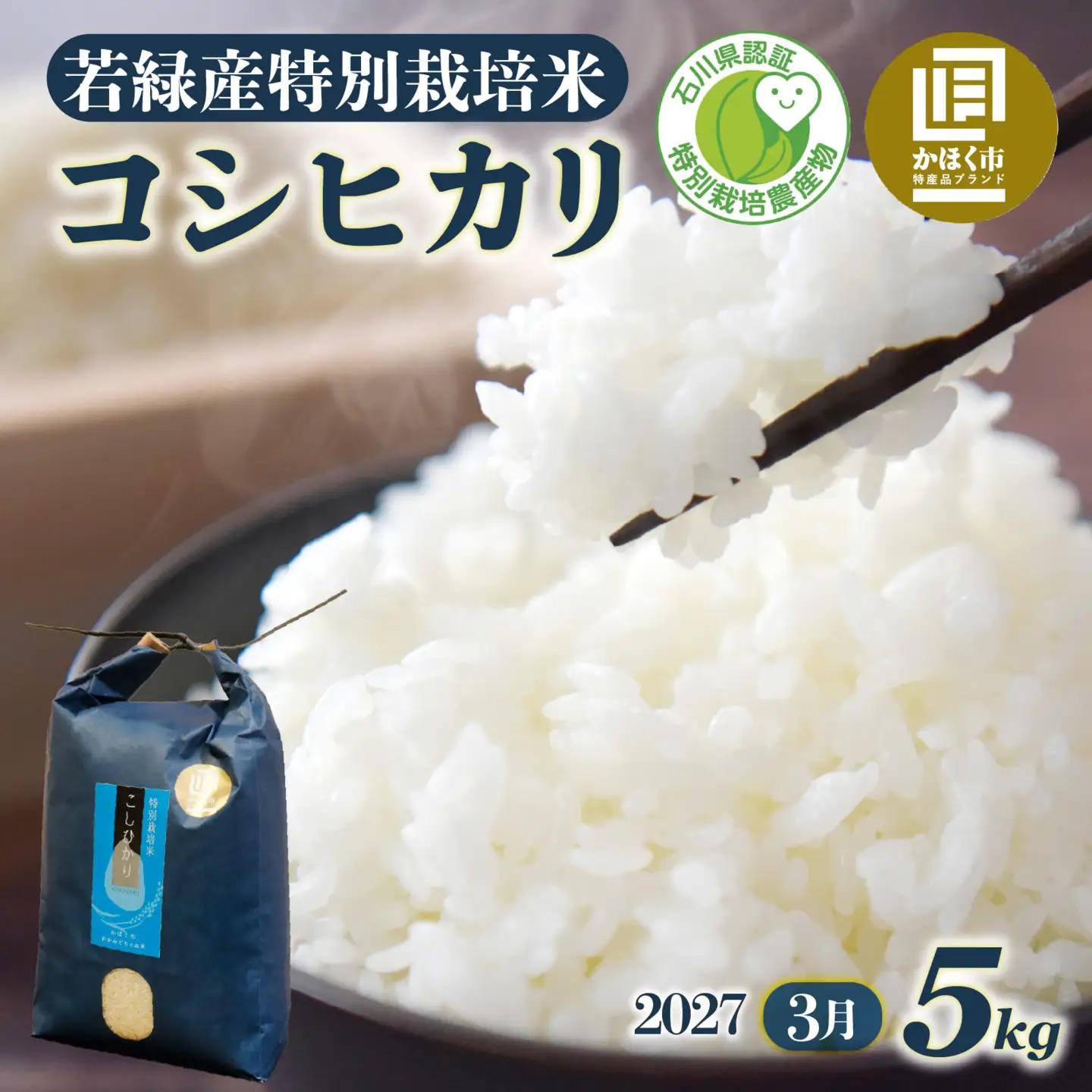 【令和8年産】こしひかり 5kg 【2027年3月発送】/ コシヒカリ お米