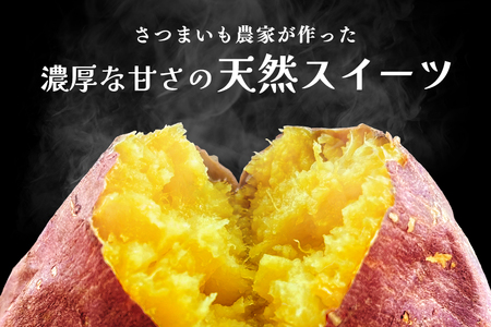 【期間限定】 関商店 焼き芋 紅はるか 1.5kg 国産 茨城県産 砂糖不使用 焼き芋 やきいも 焼芋 焼きいも べにはるか ベニハルカ 甘い 柔らかい 安心 安全 品質 食味 おやつ 62-G ＜2