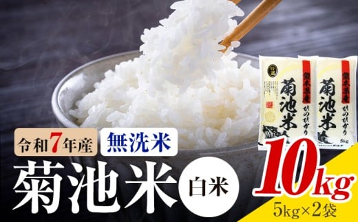 令和7年産 熊本県産 菊池米 白米 無洗米 10kg 1袋5kg 株式会社くまもとごはん 《30日以内に出荷予定(土日祝除く)》米 お米 令和7年産 九州産 熊本県産  送料無料
