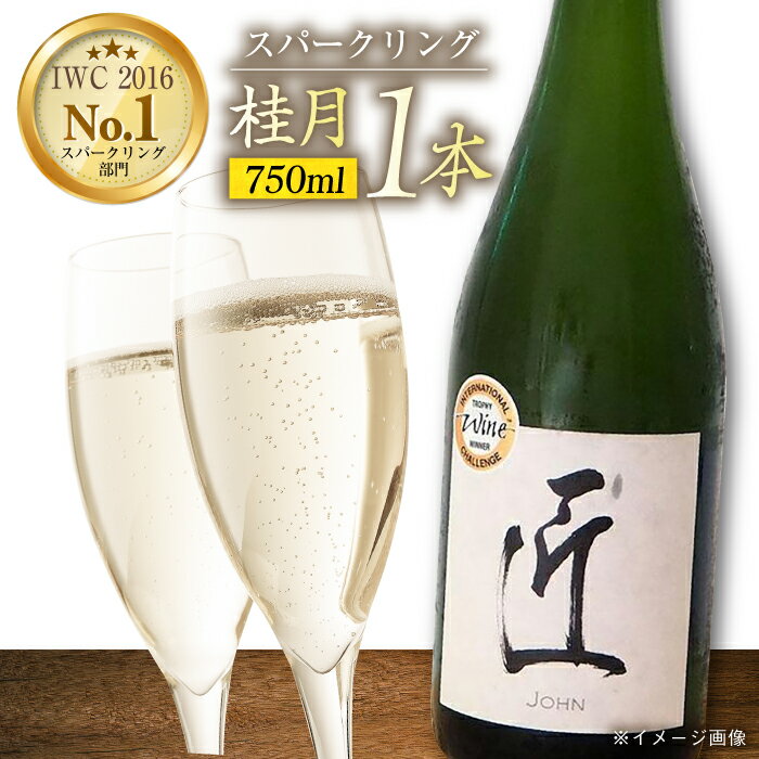 【ふるさと納税】 土佐酒造 桂月 スパークリング酒 匠 (ジョン) 750ml 純米大吟醸酒 日本酒 地酒 【近藤酒店】[ATAB073]