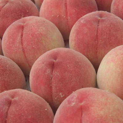 2026年発送 山梨市産 訳あり桃 約2kg(4〜8玉)【配送不可地域：離島】【1688049】