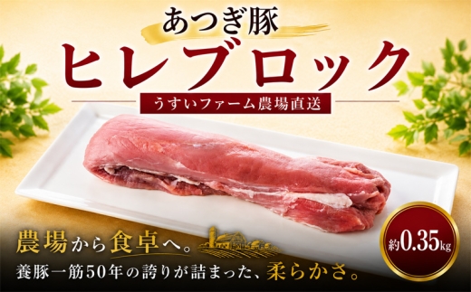 豚肉 ヒレ ブロック 0.35kg 小分け 5,000円 国産 豚 冷蔵 豚ヒレ ひれ ひれ肉 ヘレ ヘレ肉 ヒレカツ用 やわらか 赤身 ブランド豚 国産 あつぎ豚 神奈川県 厚木市 株式会社うすいファーム UIF001