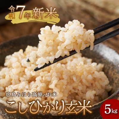 ふるさと納税 三原市 【令和7年新米】みはら高原米 浮城 コシヒカリ 玄米5kg [220-003]