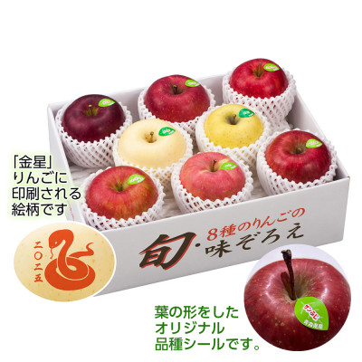 
                  ＜令和7年産・先行予約＞青森県産 8種のりんご 味ぞろえ(干支りんご入り)鮮度保持剤・保存用ポリ袋付【1508213】
                