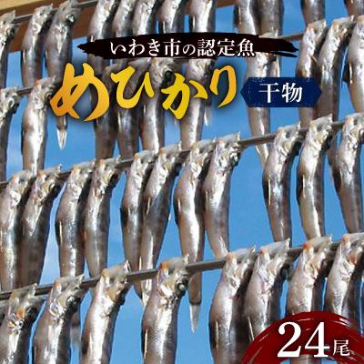 ふるさと納税 いわき市 いわき市の魚　めひかりの干物　24尾