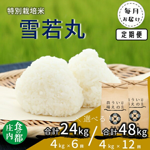 【ふるさと納税】お届け回数が選べる！食の都庄内　井上農場の特別栽培米 雪若丸 4kg【6回または12回】（産直出前便）