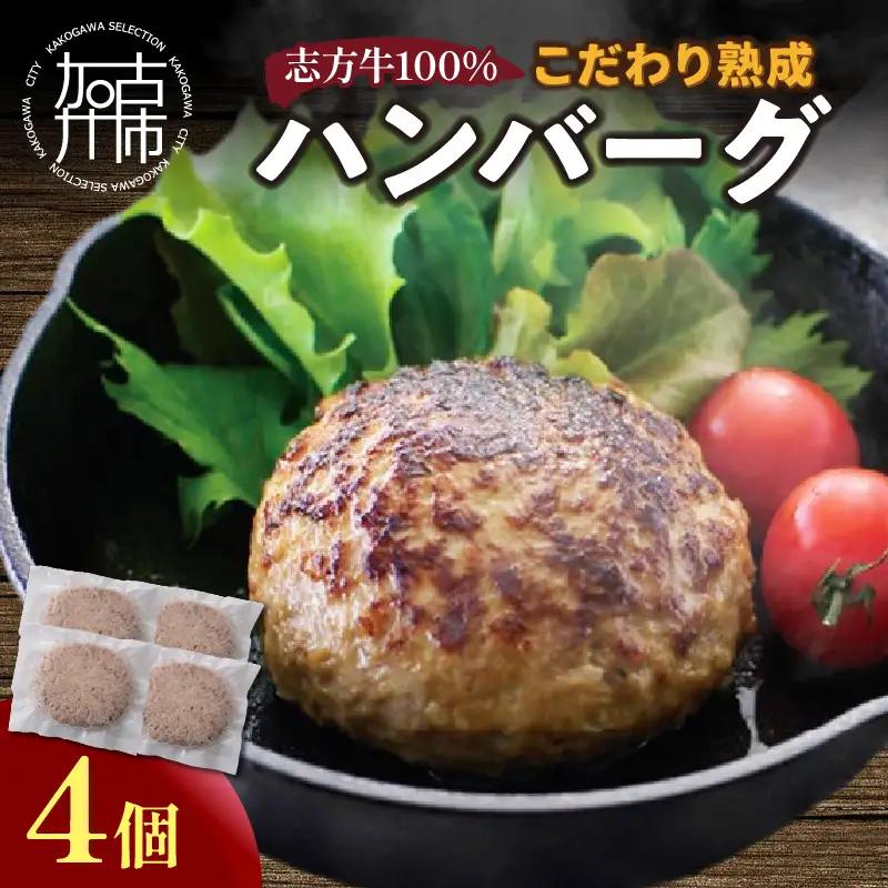 【国産】志方牛100% 熟成ハンバーグ 150g×4個【2601I05905】