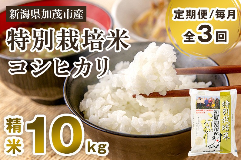 
            【令和7年産新米】【定期便3回毎月お届け】特別栽培米コシヒカリ 精米 10kg（5kg×2） 《順次出荷》 白米 従来品種コシヒカリ 加茂有機米生産組合 新潟県 加茂市産 白米 米 お米 定期便
          