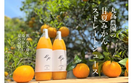 【数量限定】丸高農園の甘夏みかんストレートジュース　　甘夏  椪柑 みかん ミカン 蜜柑 柑橘 果物 フルーツ ジュース フルーツジュース 果汁100％ ストレートジュース 添加物不使用 1L 1リッ